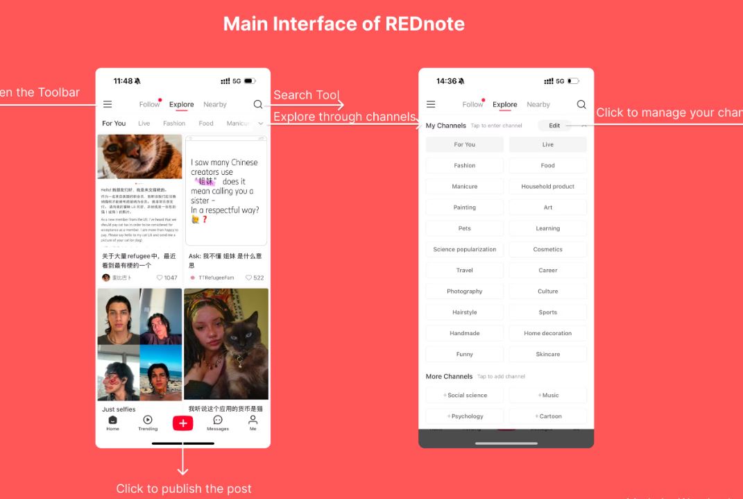 Complete Beginner’s Guide to Using the RedNote App